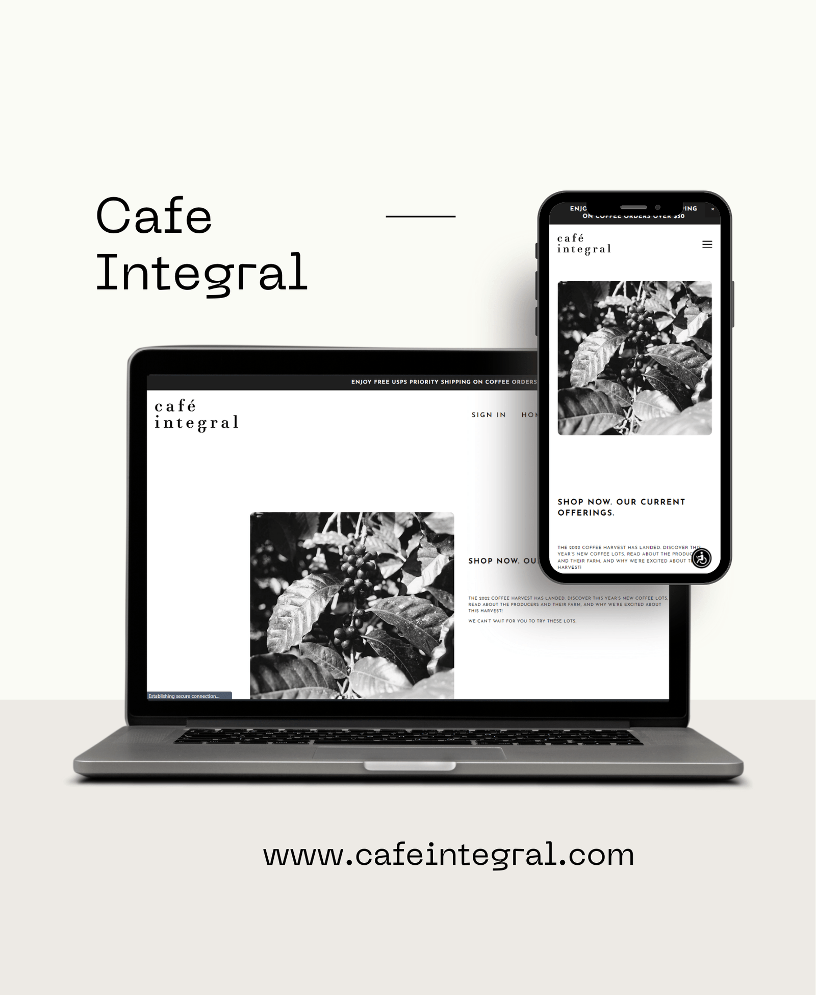 Portfolio Image